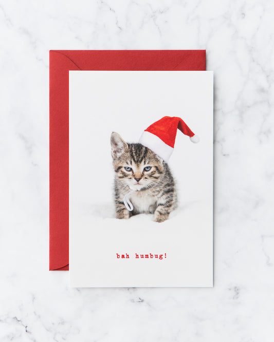 Bah Humbug Holiday Cards (set of 5)