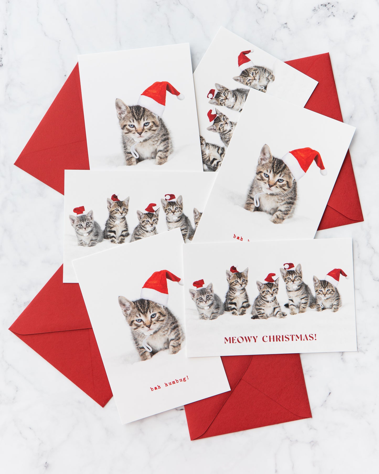 Meowy Christmas Holiday Cards (set of 5)